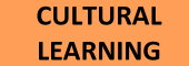 cultural learning